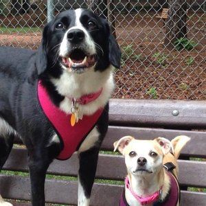 Meet your Posher, Jackie